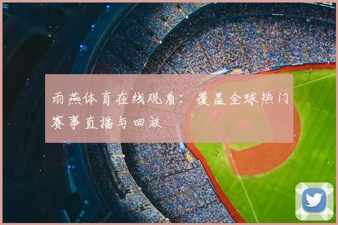 雨燕体育在线观看：覆盖全球热门赛事直播与回放