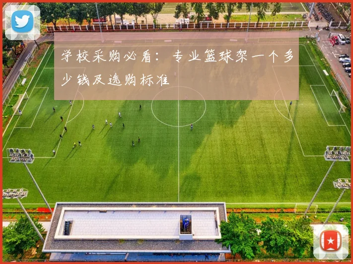 学校采购必看：专业篮球架一个多少钱及选购标准