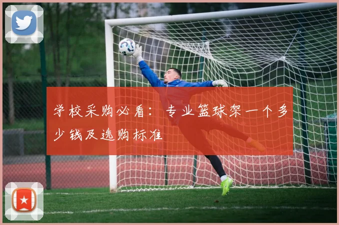 学校采购必看:专业篮球架一个多少钱及选购标准