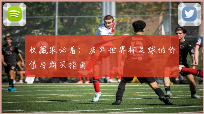收藏家必看：历年世界杯足球的价值与购买指南