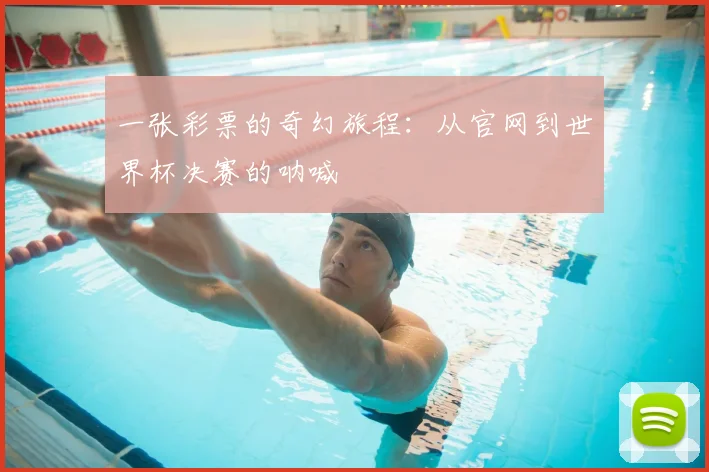 一张彩票的奇幻旅程:从官网到世界杯决赛的呐喊