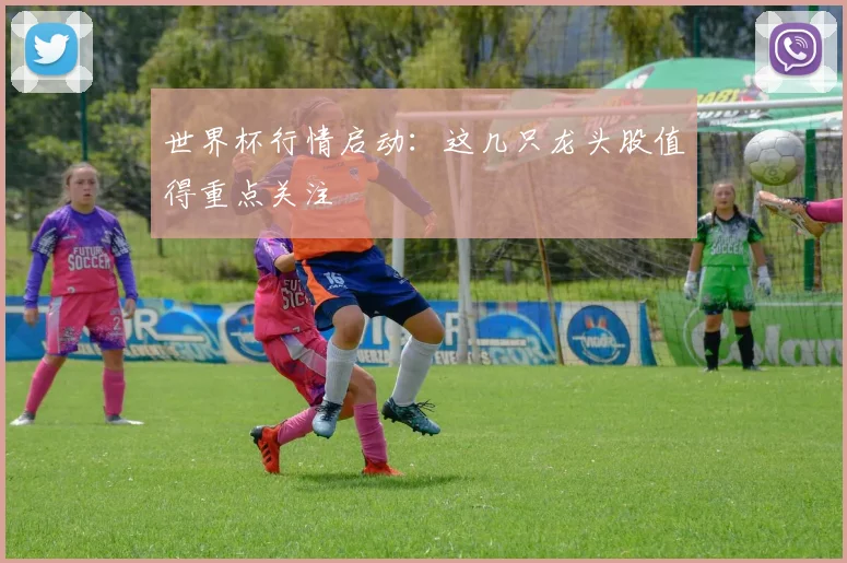 世界杯行情启动:这几只龙头股值得重点关注
