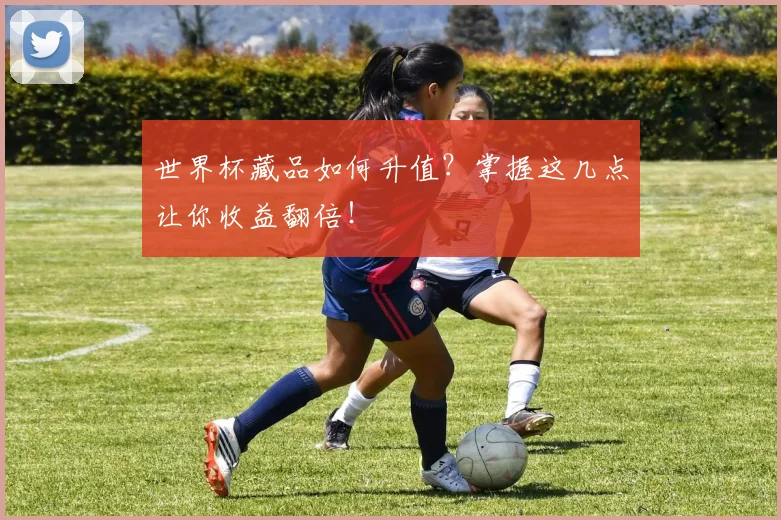 世界杯藏品如何升值?掌握这几点让你收益翻倍!