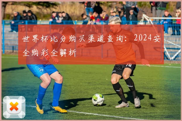 世界杯比分购买渠道查询：2024安全购彩全解析