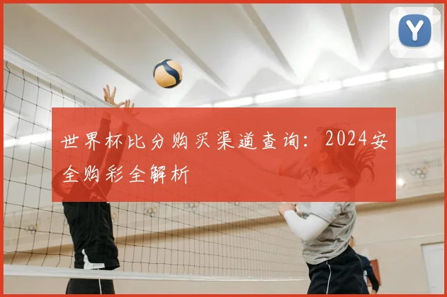 世界杯比分购买渠道查询：2024安全购彩全解析