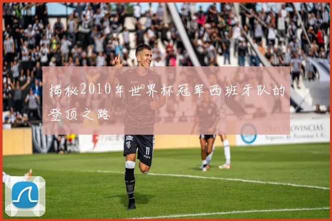 揭秘2010年世界杯冠军西班牙队的登顶之路